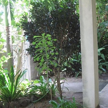 Culture House Hotel Basseterre Luaran gambar