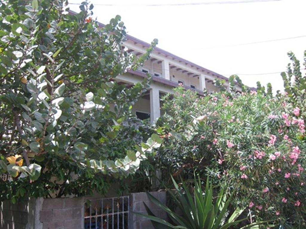 Culture House Hotel Basseterre Luaran gambar