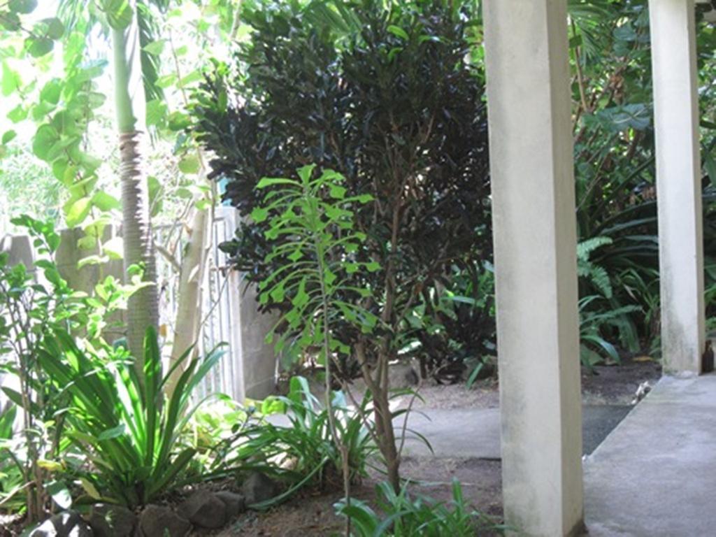 Culture House Hotel Basseterre Luaran gambar