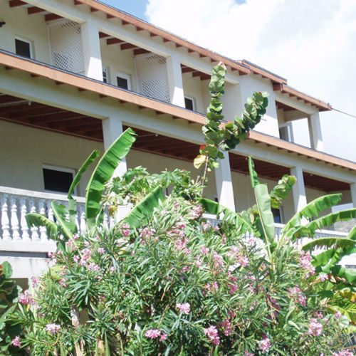 Culture House Hotel Basseterre Luaran gambar